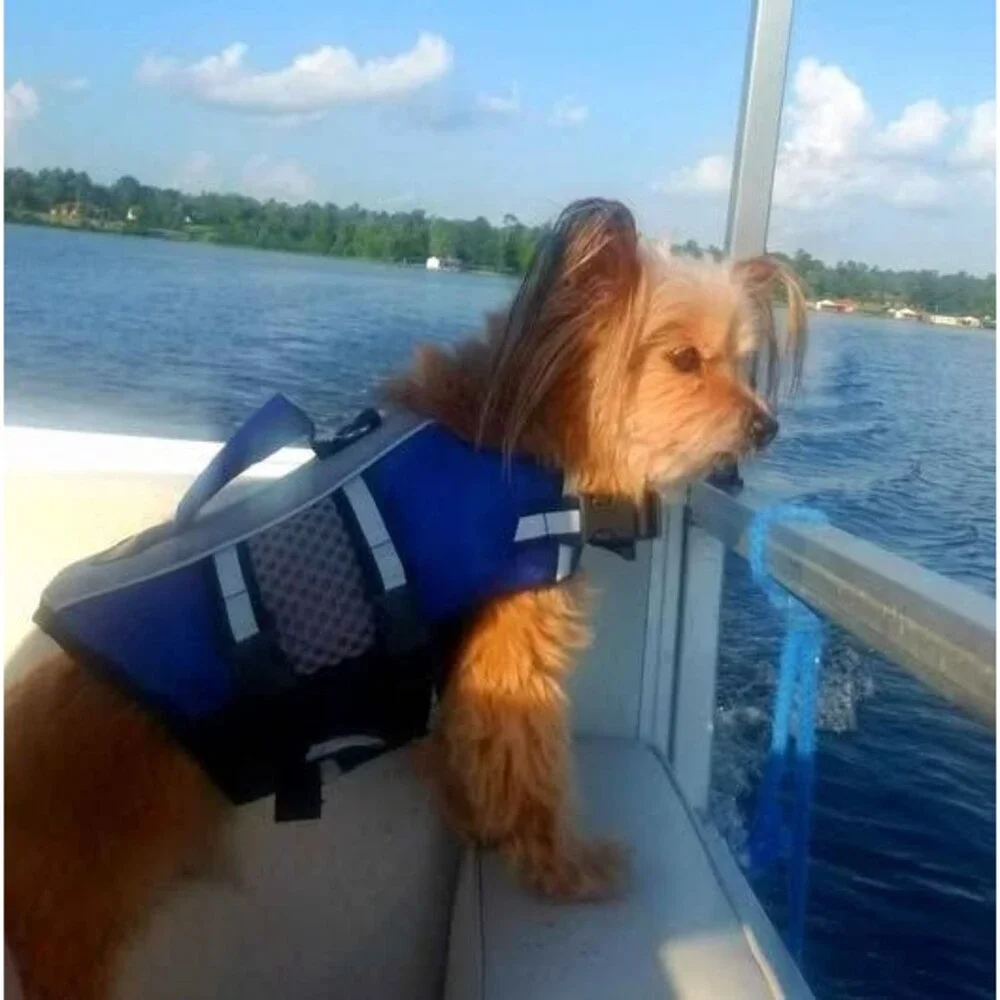 Dog Life Jacket XS Blue Swimming Vest Reflective,Handle, Leash Ring, Extra Small